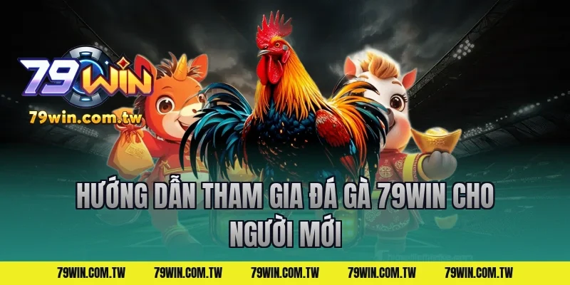 Hướng dẫn tham gia đá gà 79win cho người mới